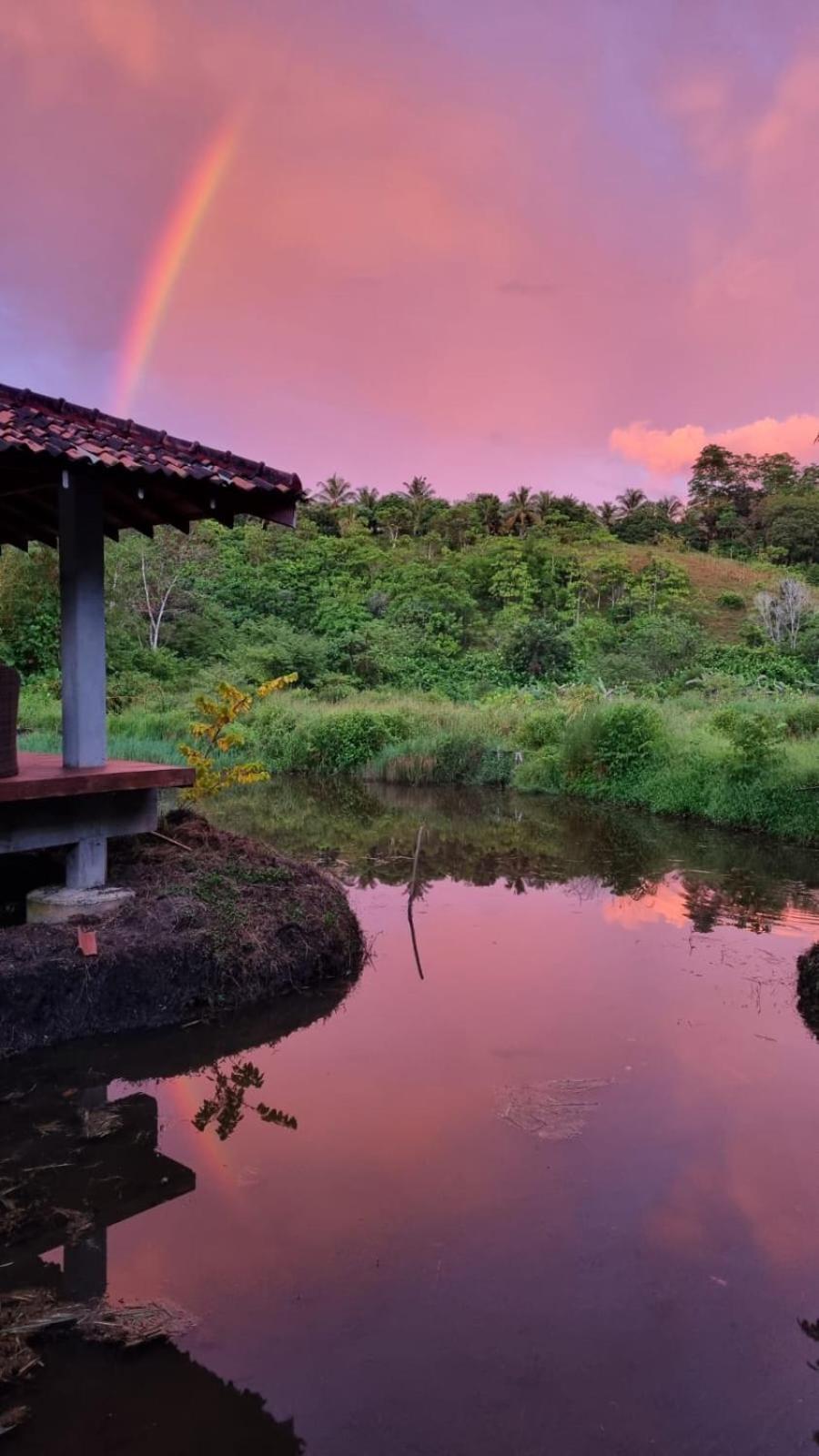 Laluna Eco Resort Pvt Ltd Beruwala Dış mekan fotoğraf